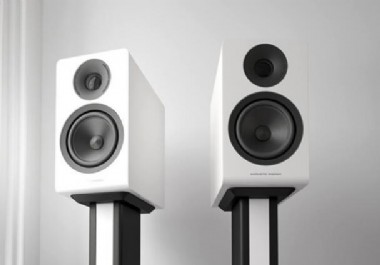 Acoustic EnergyƳ30ͺAE300