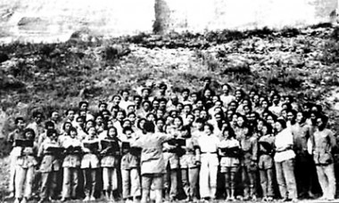 ���ƺӴ�ϳ����ָ屳������۹���