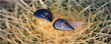 Lark Studio_����ͼƬ1