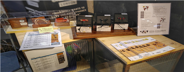 radius X PW Audio X ��˫�������������@HMV���澡�������