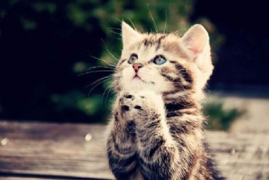 ��õĻ�������Ը����Ʒ 