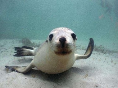 ���ֺͽ��������������ġ����⡱������������û�С��ָС�